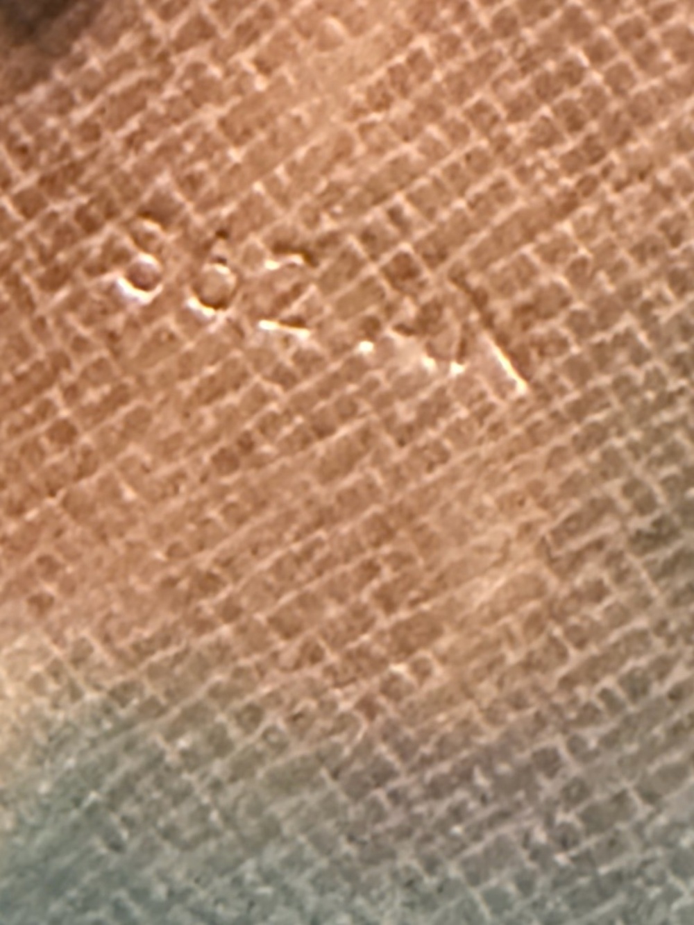 Louis Vuitton Tan Monogram Textured Leather Detail - Picture 5 of 13